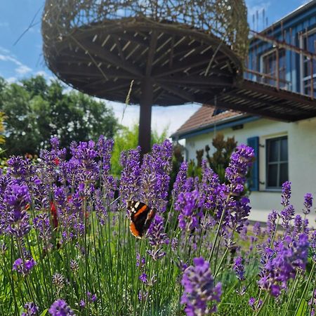 Apartmán Haus Am Schilf Wieck Exteriér fotografie