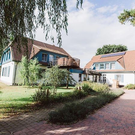 Apartmán Haus Am Schilf Wieck Exteriér fotografie